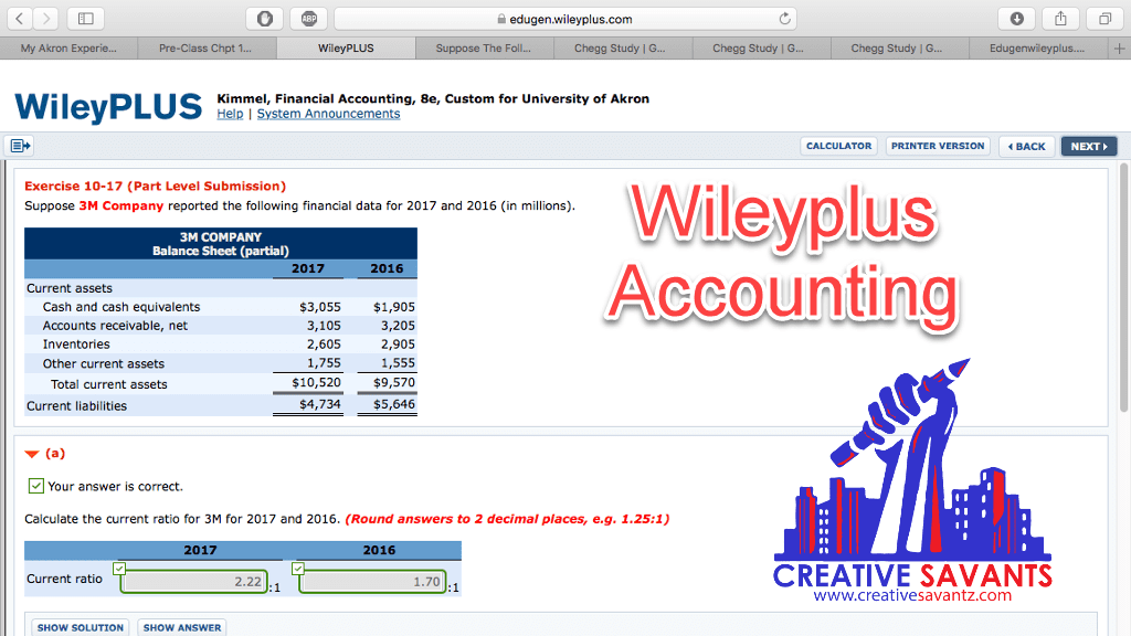 wileyplus homework answers accounting