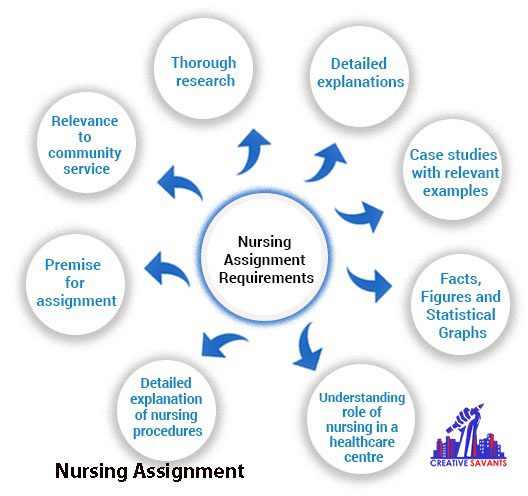 nursing assignment requirments