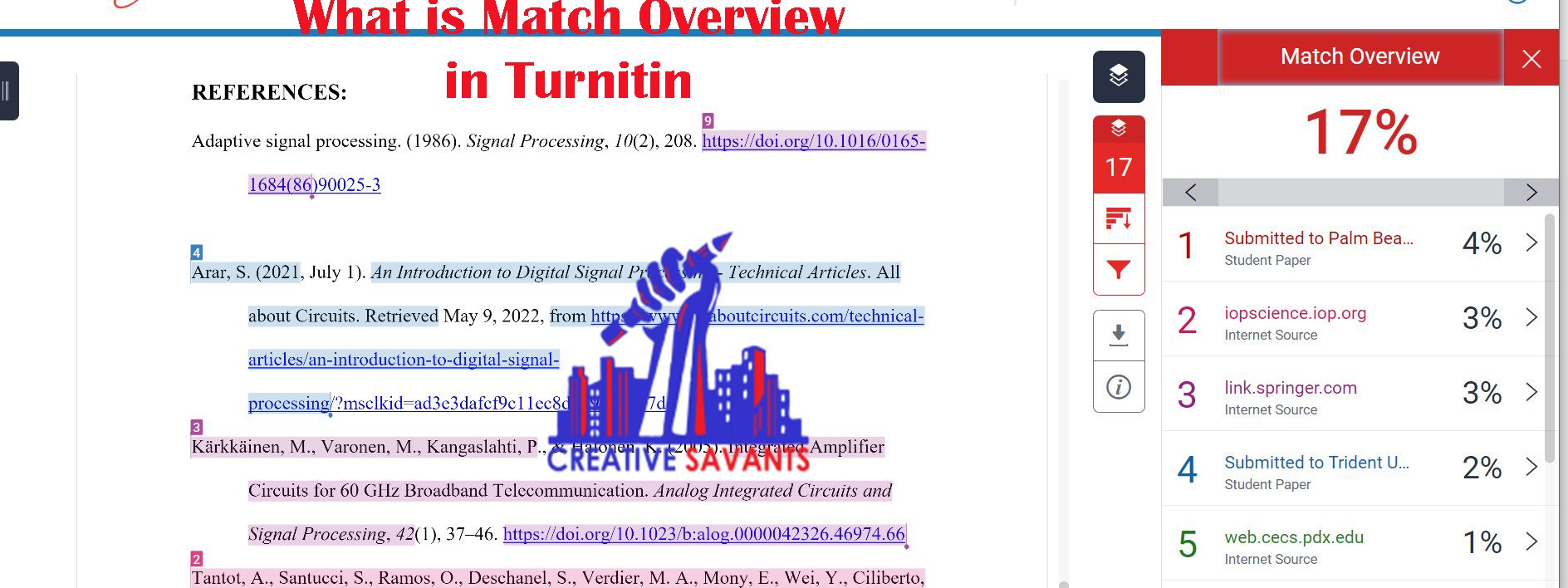 what is match overview tab in turnitin