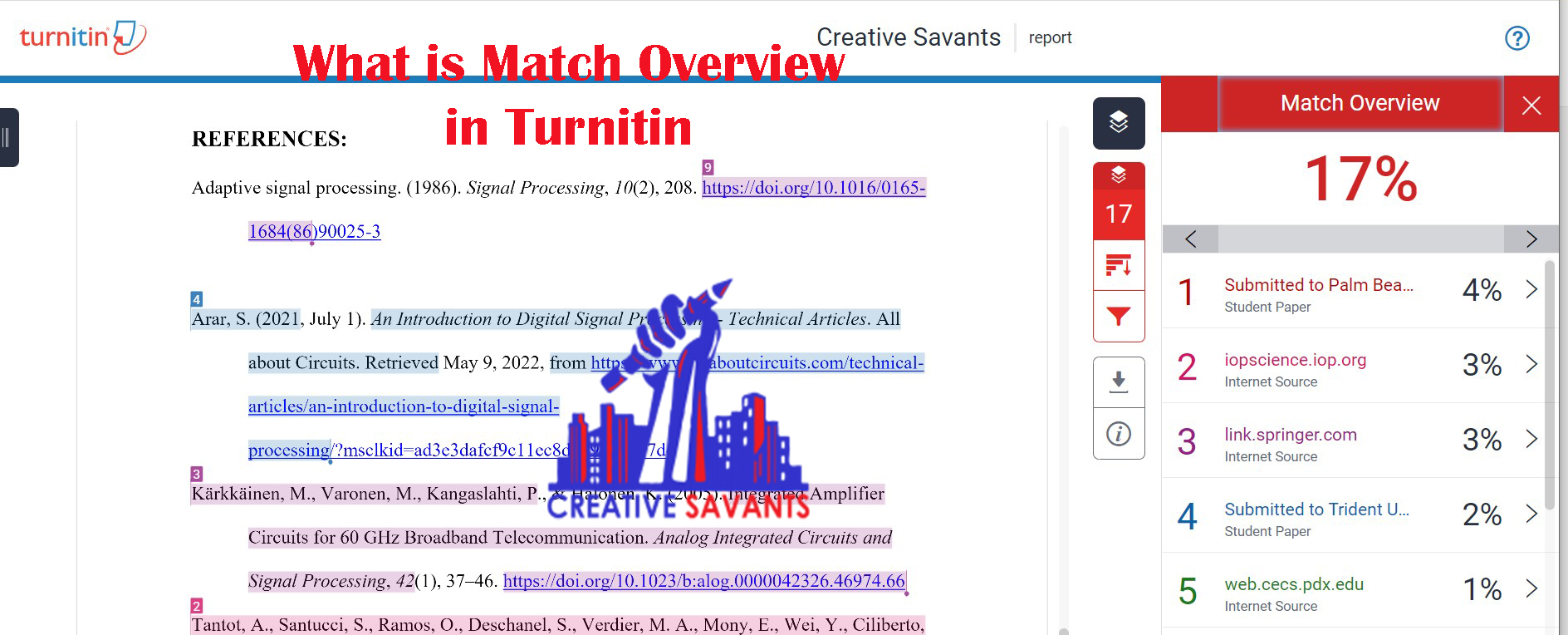 what is match overview tab in turnitin