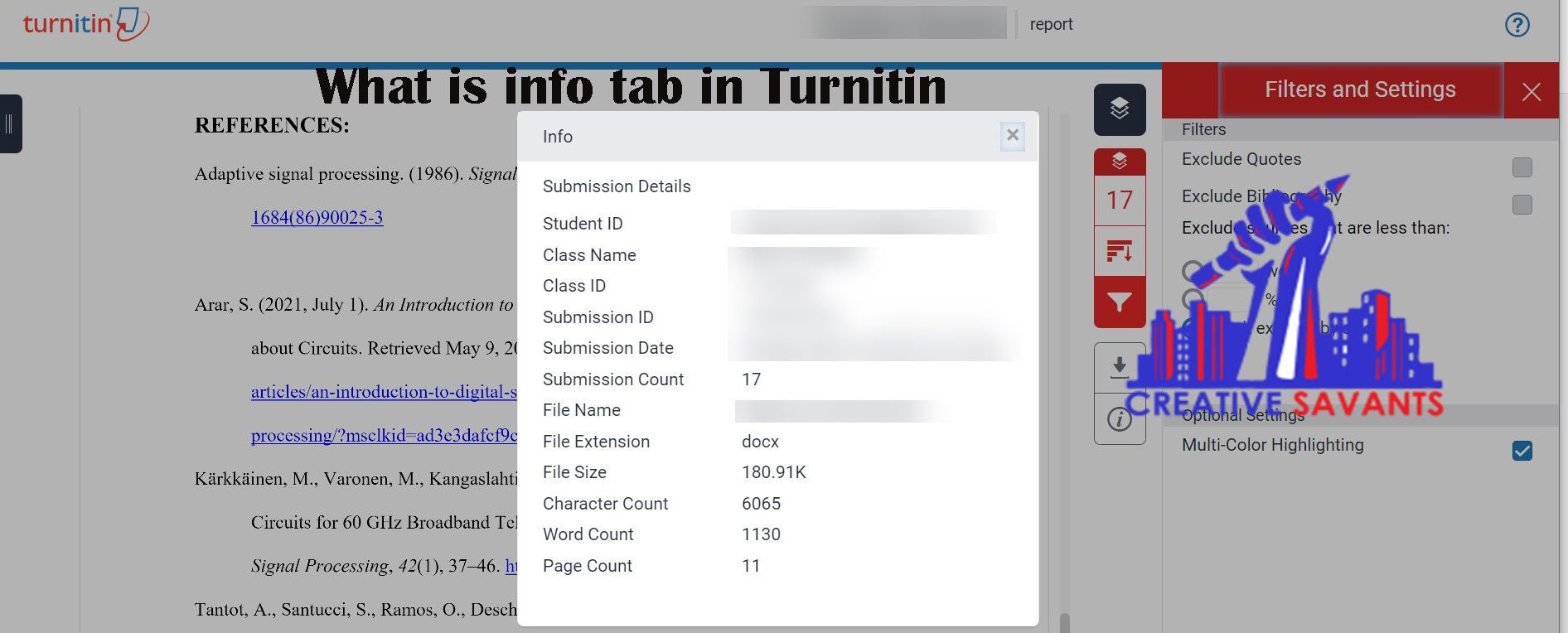 what is info tab in turnitin