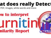 Turnitin similarity report