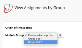 How to create Turnitin enabled assignments by group