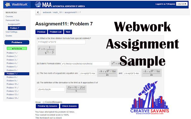 Webwork assignment sample
