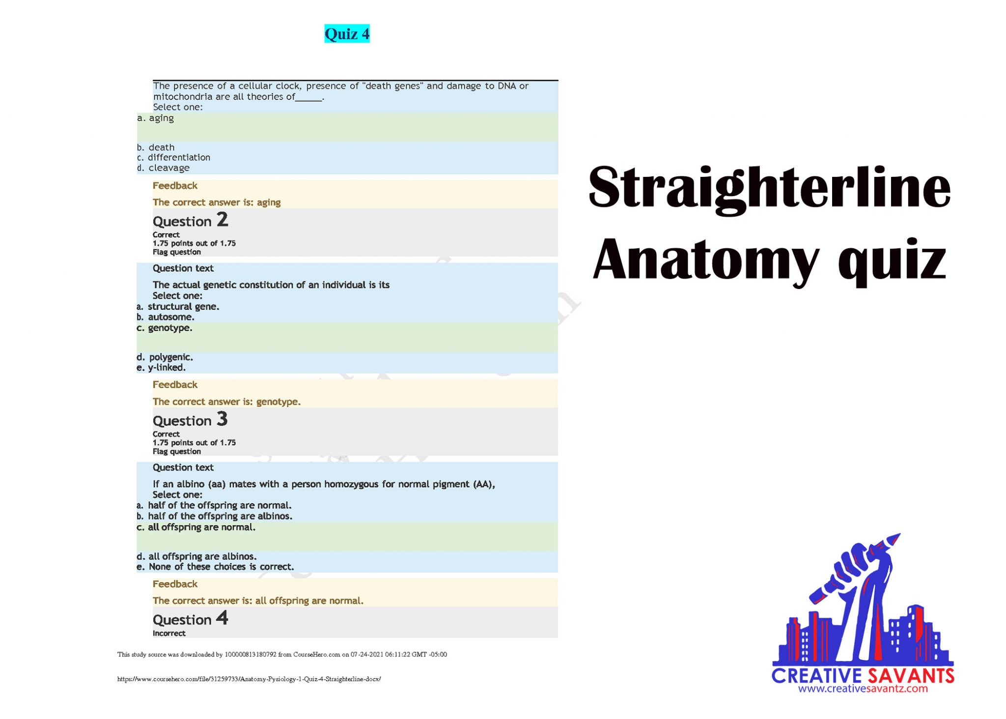 Straighterline anatomy