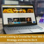 Why Internal Linking is Crucial for Your SEO Content Strategy and How to do It?